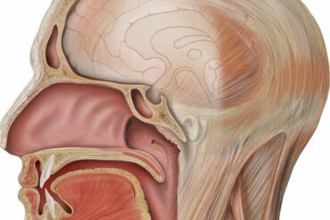 Fisio-notizie